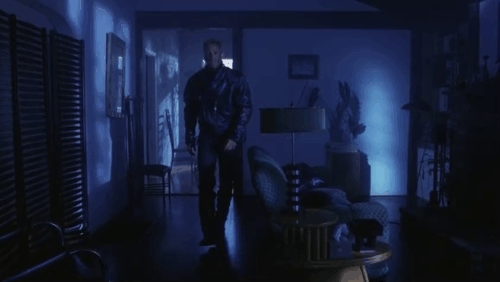 Streets - Lumley Eb Lottimer approaching and petting preening longhair calico cat animated gif