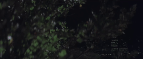 Superman - Superman saving white cat Frisky from tree and handing him to little girl Jayne Tottman animated gif