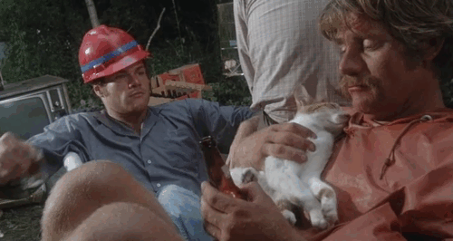Take This Job and Shove It - Harry David Keith breaking bottle on head with Ray Tim Thomerson in rotting bathtub with sleeping ginger and white tabby cat animated gif