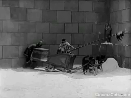 Three Ages - Buster Keaton dangles black cat from spear in front of dog team animated gif