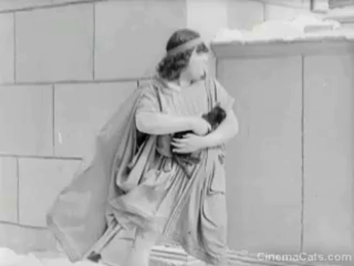 Three Ages - Roman thug throws black cat into arena and distracts Buster's sled dog team animated gif