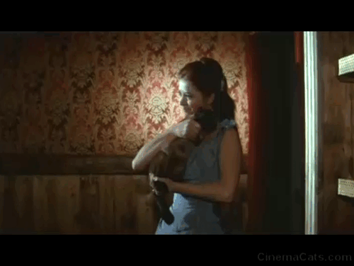 Three Bullets for Ringo - Jane Milla Sannoner holding Siamese cat and being grabbed from behind animated gif