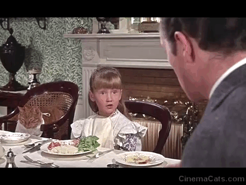 The Three Lives of Thomasina - marmalade tabby cat being fed ham at dinner table by Mary Karen Dotrice animated gif