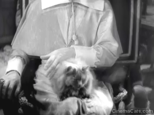 The Three Musketeers - longhair grey smokey Persian cat Mademoiselle Dominique de France being petted strangely by Cardinal Richelieu Miles Mander animated gif