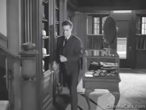 Thriller - The Specialists - Gresham Ronald Howard passing ginger tabby cat on stair railing animated gif