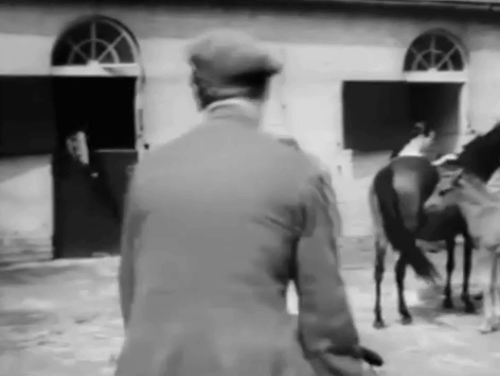 To Have and to Hold - June Avis Scott holding tabby and white kitten with Robert Harry Fine animated gif