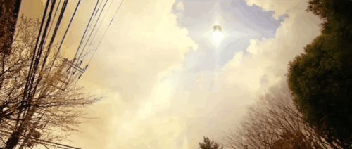 Tora-san - ginger and white tabby cat Kintoki falling from sky and landing on road animated gif