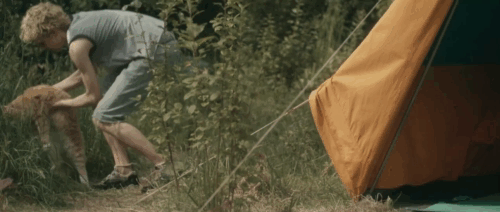 Tore tanzt - Nothing Bad Can Happen - longhair ginger tabby cat outside tent with Julius Feldmeier animated gif