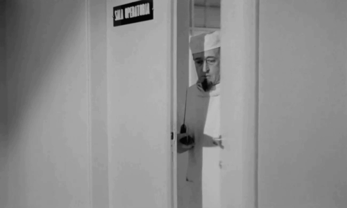 Toto, Vittorio a la dottoressa - Mike Spillone Totò opening door to find numerous cats sitting outside operating room animated gif