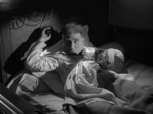 Touchez pas au grisbi - Don't Touch the Loot - old man with tabby cat being startled out of bed animated gif