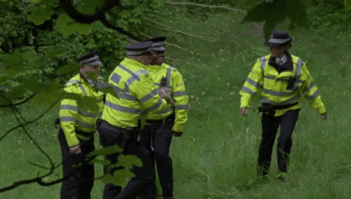 A Touch of Frost - If Dogs Run Free, Part One - police officer holding up ginger and white tabby cat to show Frost David Jason animated gif