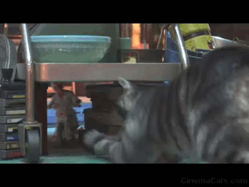 Toy Story 4 - tabby cat Dragon turning and leaping up into air after Woody animated gif