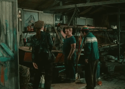 Trafic - grey tabby cat being removed from boat by garage owner Tony Knepper with Marcel Fraval and Maria Kimberley animated gif