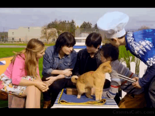 Treasure Hounds - Chauncey ginger tabby cat licking tongs on lawn chair with Jack's mom Jessie Fraser Twyla Kenzie O'Day Jennifer Helen Colliander Jack Valin Shinyei and Fred Ryan James Keating animated gif