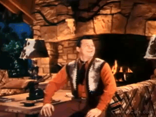 Two Guys from Texas - Danny Jack Carson scared of grey and white cat sitting on couch animated gif