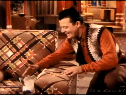 Two Guys from Texas - Danny Jack Carson petting grey and white cat which bites and swipes at him animated gif