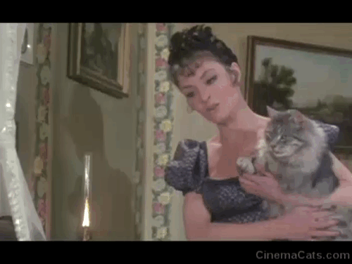 The Vampire Lovers - longhair grey tabby cat Gustav blepping while held by Mme. Perrodot Kate O’Mara animated gif