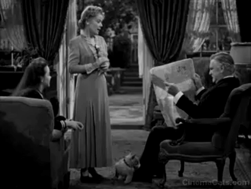 The Vanishing Virginian - white cat Tabitha being lifted by feet of Yancey Frank Morgan with Rosa Spring Byington and Rebecca Kathryn Grayson animated gif