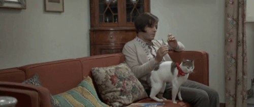 Vedo nudo - I See Naked - Ornella Nino Manfredi sitting on couch with tabby and white cat Fabiola wearing red ribbon animated gif