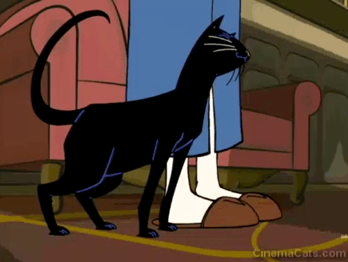 The Venture Bros. - Eeny Meeny Miney Magic - black cat Simba rubbing against Dr. Venture's leg and being petted animated gif