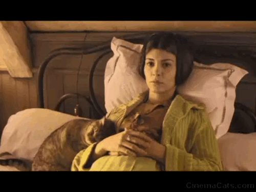 A Very Long Engagement - tabby cat on bed cuddling with Mathilde Audrey Tautou animated gif