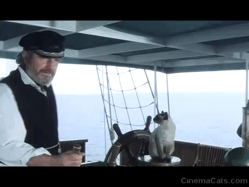 Warlords of Atlantis - Captain Daniels Shane Rimmer petting Siamese cat on boat animated gif