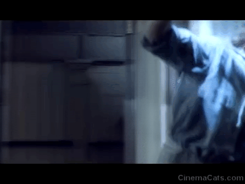 Warlords of Atlantis - Sandy Ashley Knight grabbing Siamese cat away from giant octopus tentacle animated gif