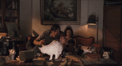 Watching the Detectives - Neil Cillian Murphy jumping up and scaring numerous cats on couch with Violet Lucy Liu animated gif