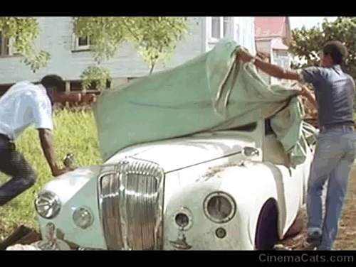 Water - men pulling back tarp to reveal mama cat and kittens on seat of car animated gif