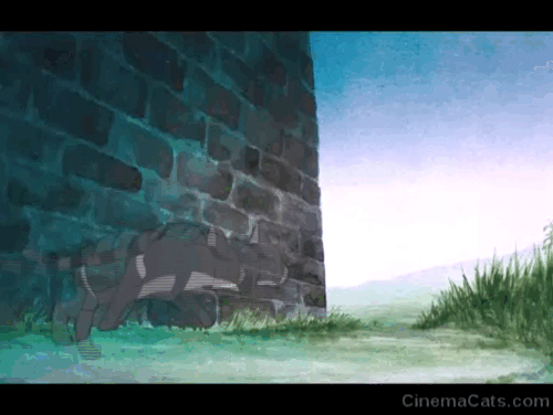 Watership Down - tabby cat Tab chasing rabbits around house then returning animated gif