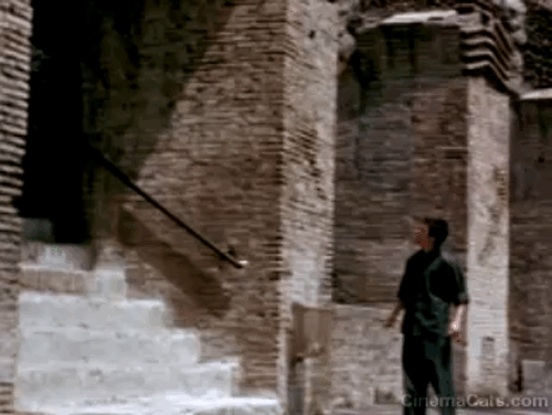 The Way of the Dragon - cat falls down stairs by Bruce Lee then runs away animated gif