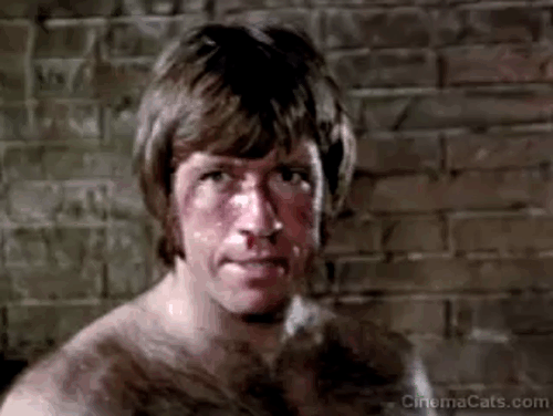 The Way of the Dragon - camera zooms in and out on Chuck Norris tabby and white kitten and Bruce Lee animated gif