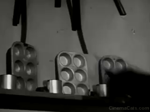 The Westerner - The Courting of Libby - orange and black cat on shelves one collapses