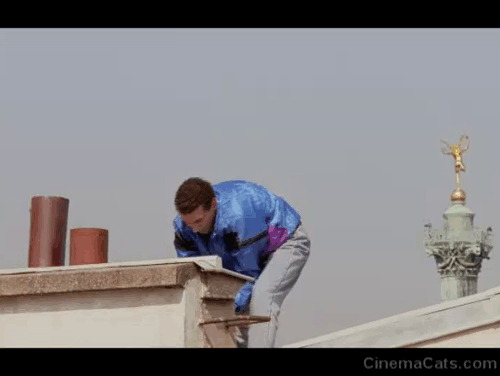 Chacun Cherche son Chat - When the Cat's Away - Chloe Garance Clavel motioning to Djamel Zinedine Soualem on roof holding gray cat before falling animated gif