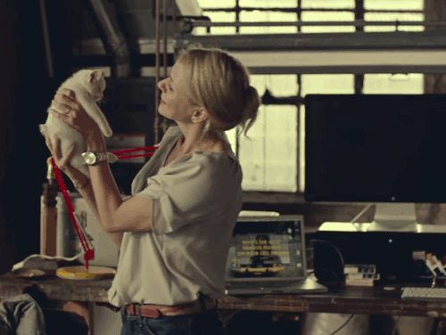 While We're Young - Cornelia Naomi Watts holding white kitten Good Cop with Darby Amanda Seyfriend holding black kitten Bad Cop animated gif