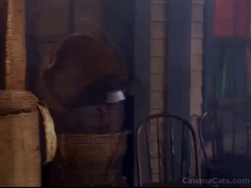 The Wild Wild West - The Night of the Watery Death - black cat jumping off barrel and running away from Jim West Robert Conrad animated gif