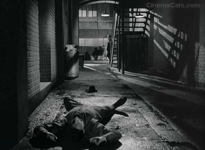 The Winning Team - orange tabby cat running out by collapsed Grover Cleveland Alexander Ronald Reagan animated gif