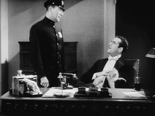 The Woman Racket - Tom Moore throwing money at Chris John Miljan with longhair tabby cat on lap animated gif