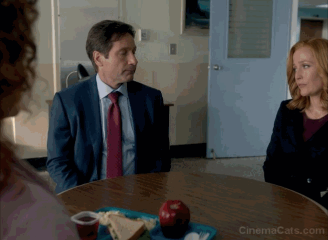The X-Files - Founder's Mutation - woman throws apple at Maine Coon cat animated gif