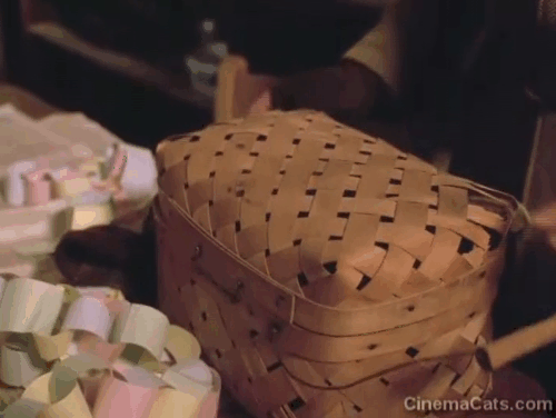 Yes Virginia, There is a Santa Claus - brown tabby kitten Nicky inside basket being opened animated gif
