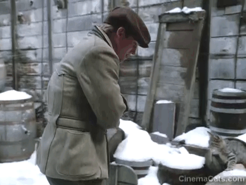 Yes Virginia, There is a Santa Claus - James O'Hanlan Richard Thomas picking up brown tabby kitten in snowy back alley animated gif