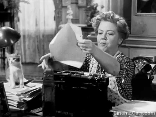 You Can't Take it With You - Penny Spring Byington lifting bicolor tabby kitten from manuscript to use as paperweight animated gif