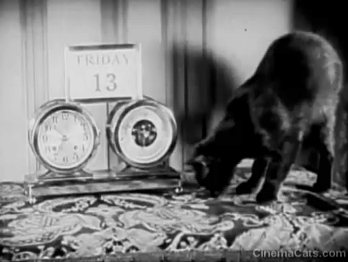 You'd Be Surprised - black cat Felix next to clock barometer and calendar with date Friday the 13th animated gif