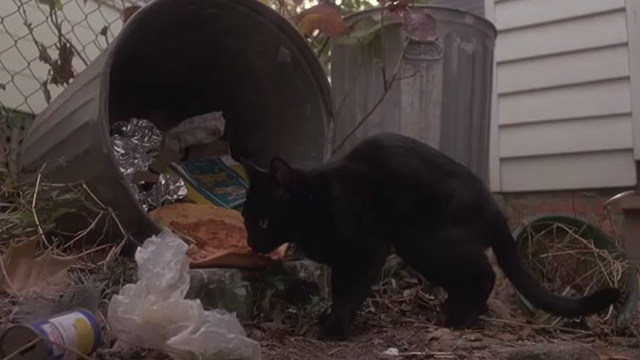 29th Street - black cat Vinnie eating pizza in garbage