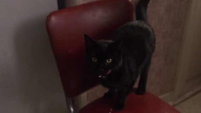 29th Street - black cat Vinnie licking lips on red chair in kitchen