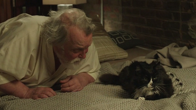 2 Days in New York - long-haired black and white cat Jean Luc on bed with Jeannot Albert Delpy