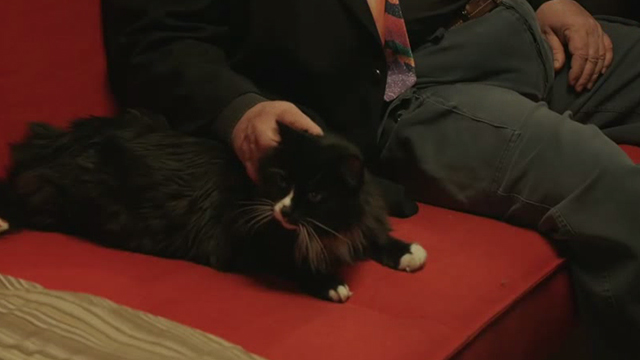 2 Days in New York - long-haired black and white cat Jean Luc on sofa