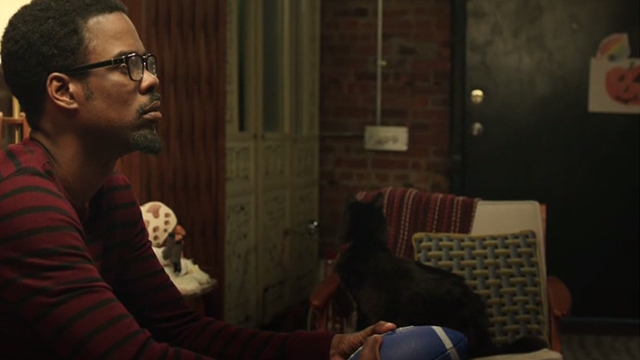 2 Days in New York - long-haired black and white cat Jean Luc on chair behind Mingus Chris Rock