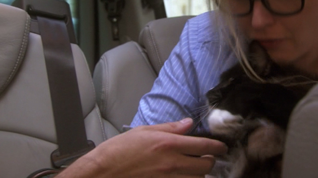 2 Days in Paris - Marion Julie Delpy dropping off tuxedo cat Max in Paris