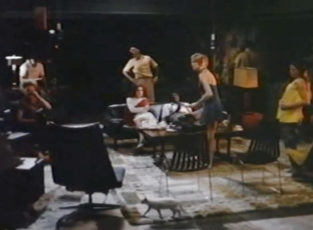 The 300 Year Weekend - white cat walking in front of room of therapy patients